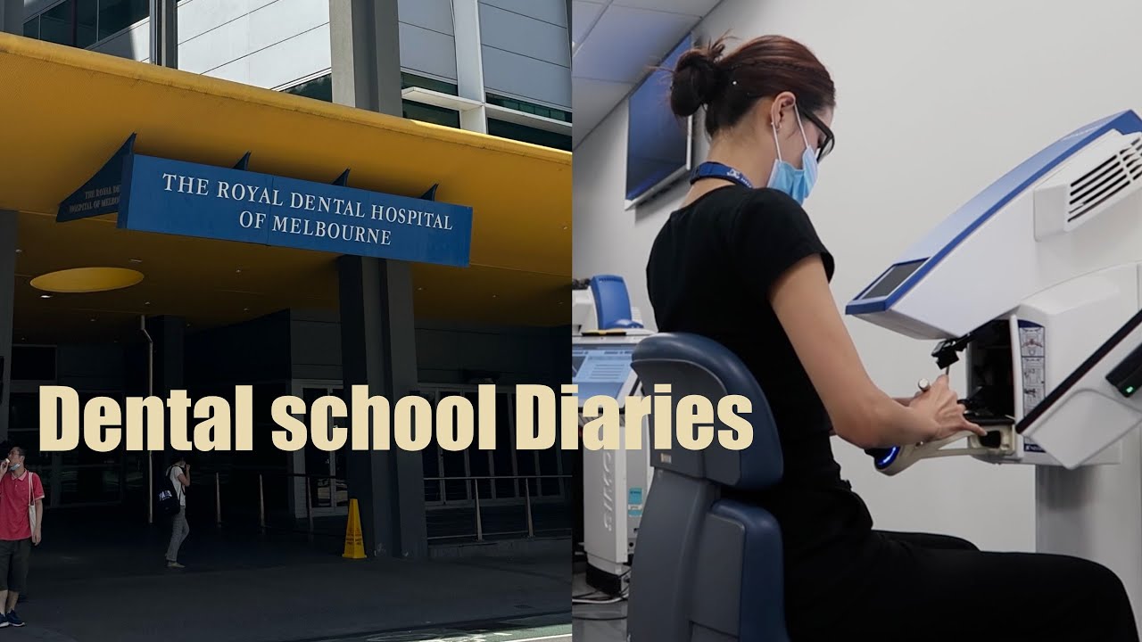 UniMelb Dental School Diaries | EP2 | First Anatomy Test, Haptics, Morning coffee every day ☕