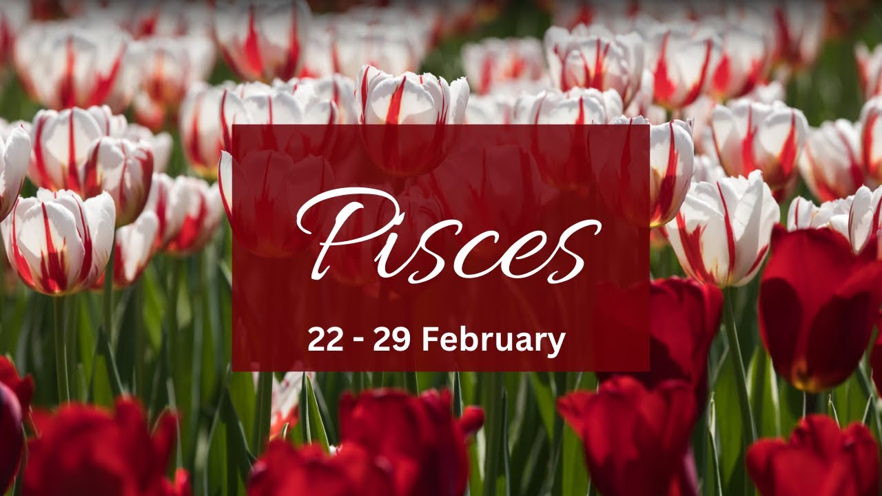 Pisces❤️This is why this ungrateful one is finally seeing ur value & stalking & planning this!