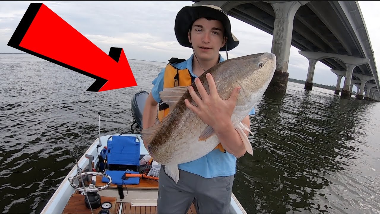 43 Inch BULL RED Caught from Boston Whaler 13