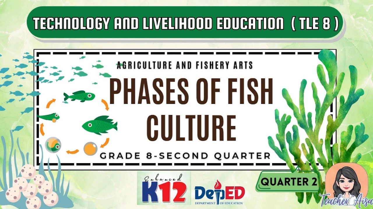 ENHANCED K12-TLE 8 (AFA-2ND QTR) PHASES OF FISH CULTURE