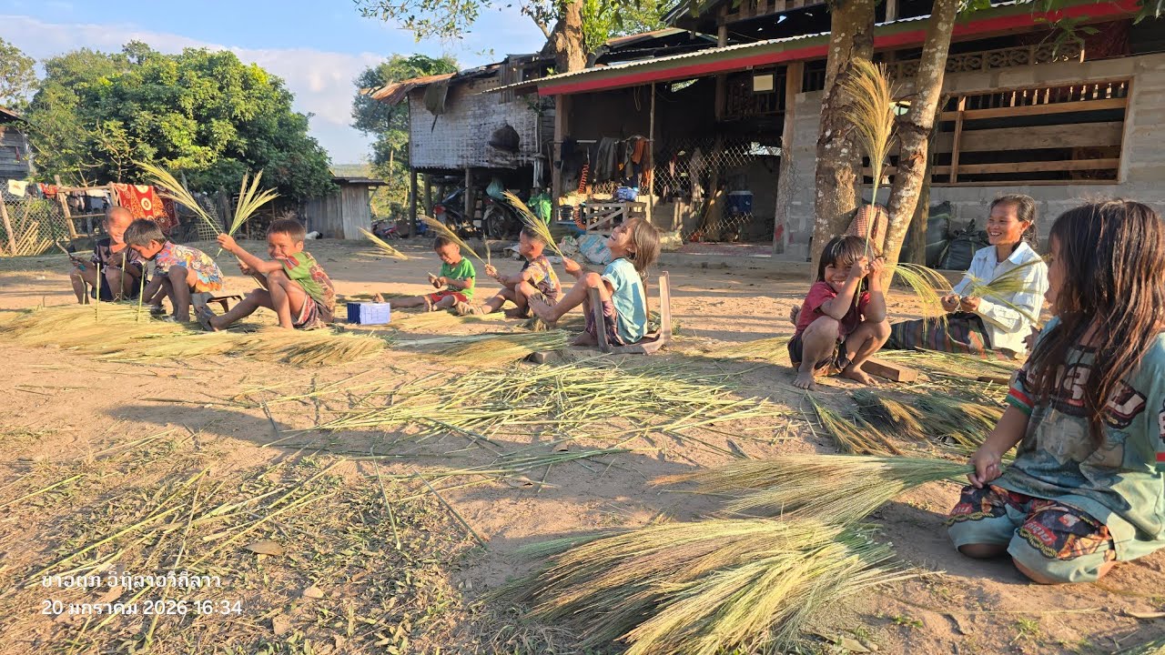 ตะลุ๋ยลาวใต้ เยือนหมู่บ้านอาตาน ฤดูกาลนี้ ชาวบ้านน้อยใหญ่ พากันหาแขมมาขาย และ ขายยางบง