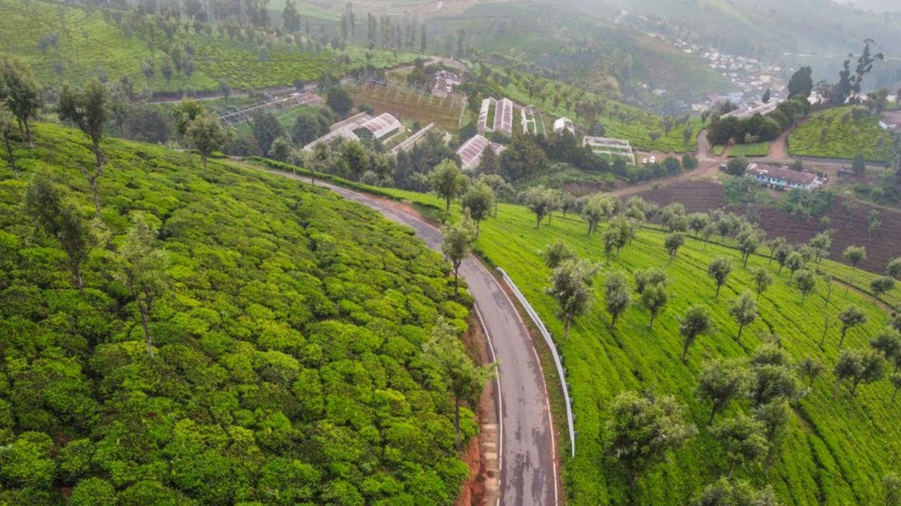 Ooty - Wayanad | November 2020 | Travel video