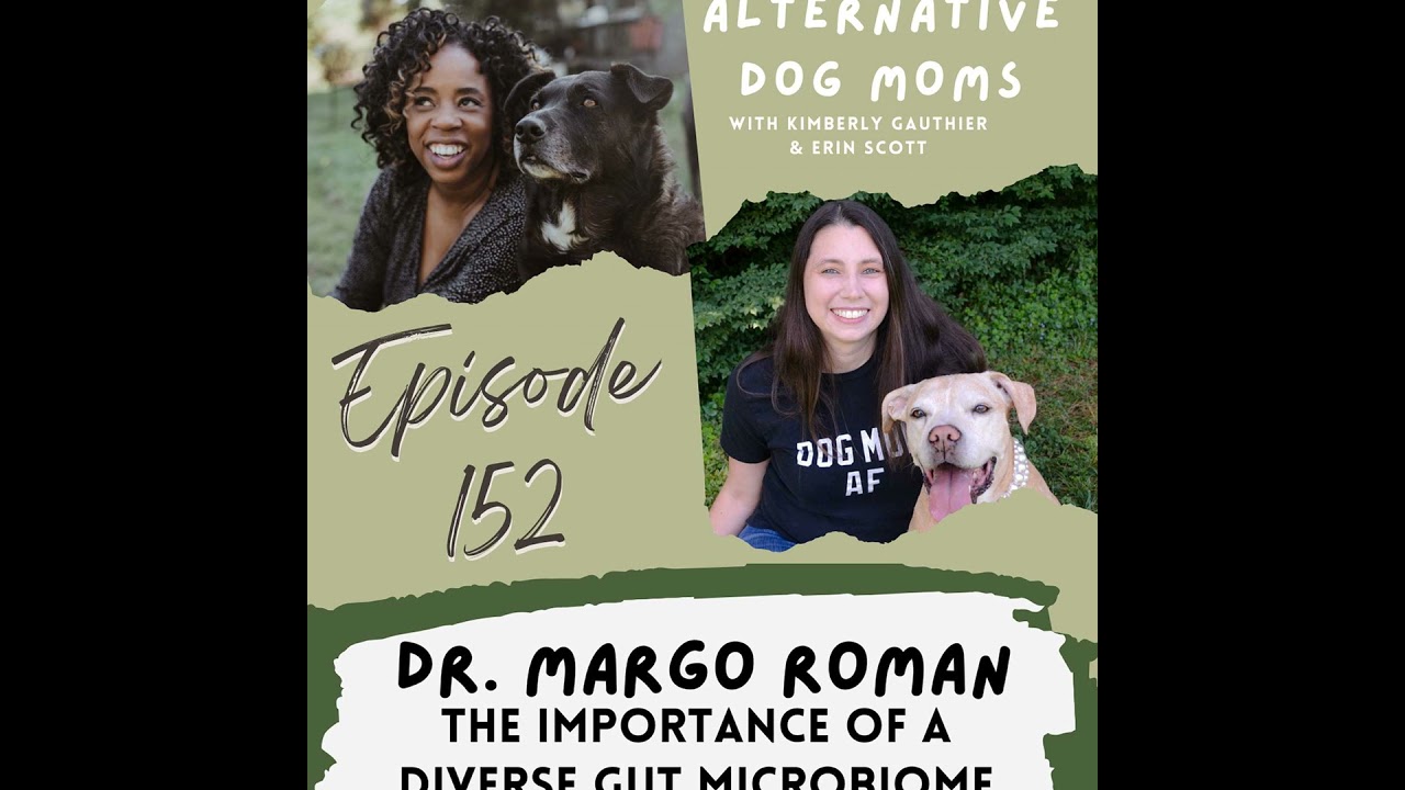 Discussing the Importance of Maintaining a Healthy & Diverse Gut Microbiome with Dr. Margo Roman