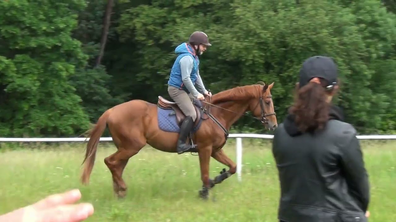 Kasztan 13 06 i Gniady 09 06 2022