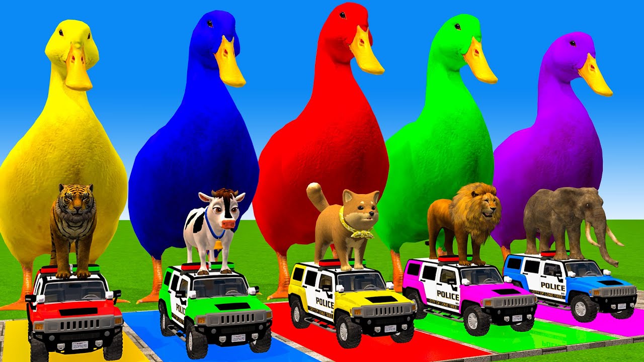 5 Giant Duck Cartoon,Cow,Elephant,Tiger,Lion,Dinosaur,Paint Wild Animals Crossing Fountain Animation