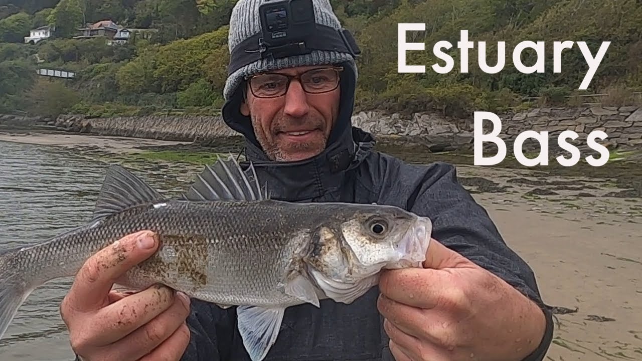 Lure fishing for bass in an estuary