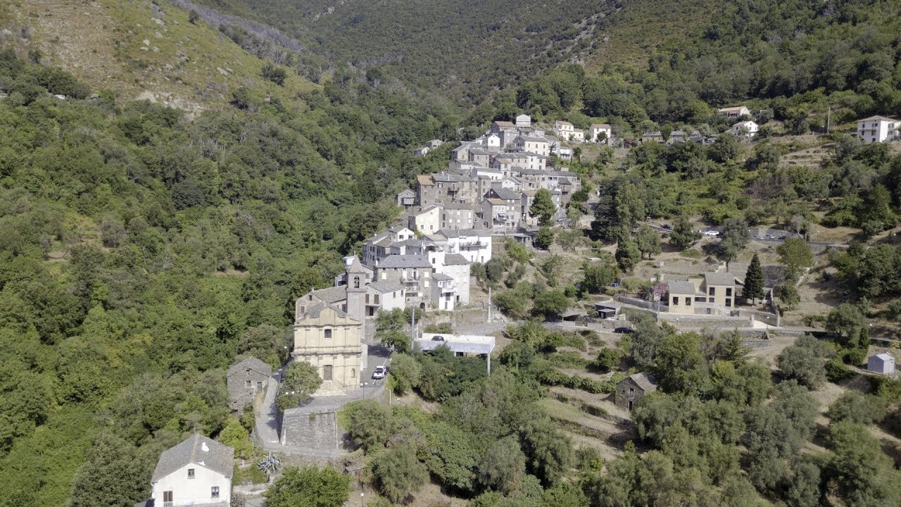 Ô Ciel, ma Corse...Vignale