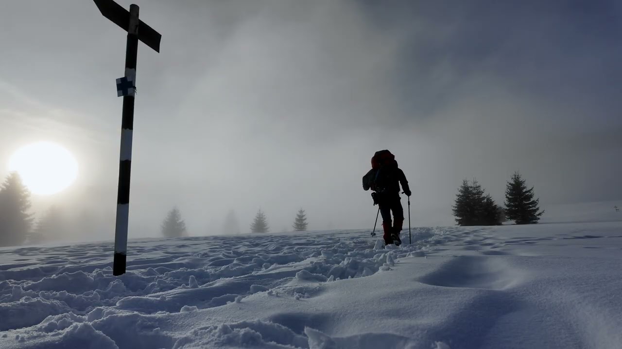 Two days alone in the Carpathians | Day 1 - nature sounds