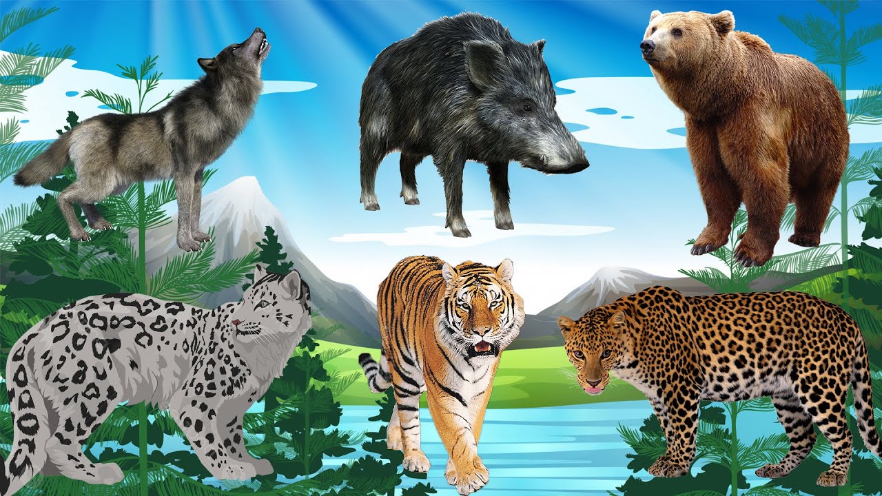 These sounds of predatory animals in Russia make you feel uncomfortable. Ugh...