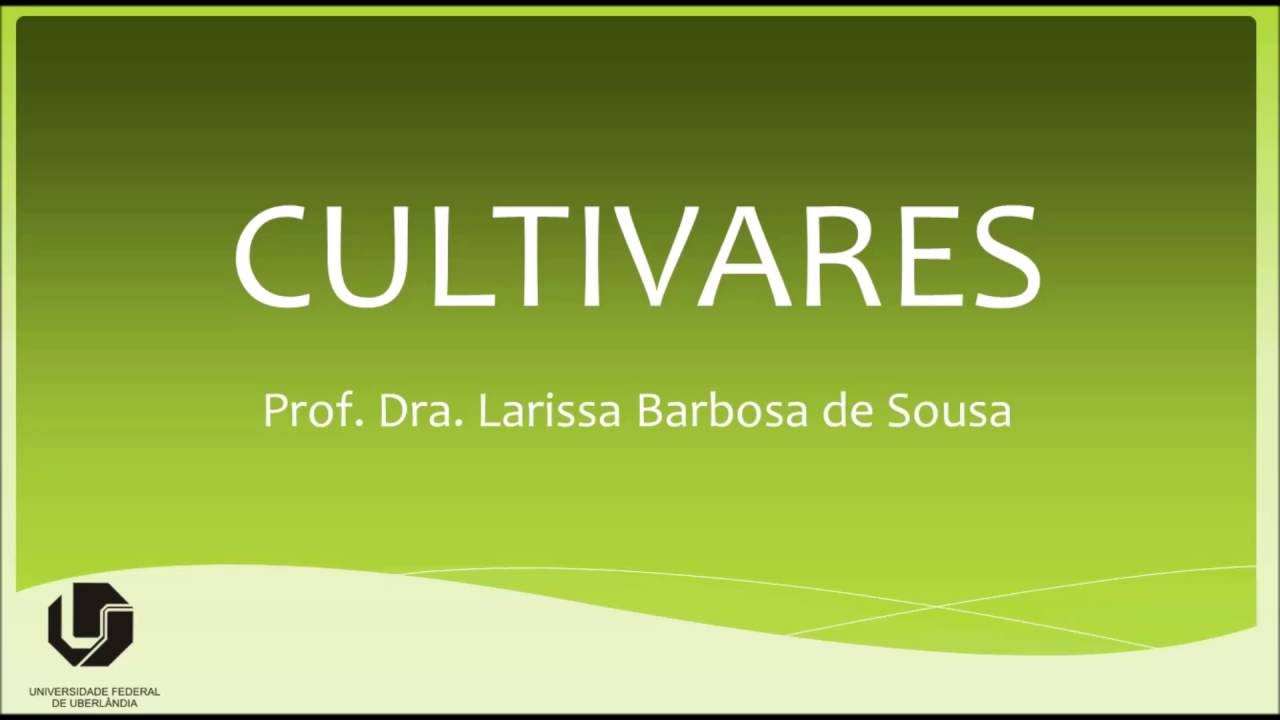5&ordf; V&iacute;deo-aula. Cultivares.