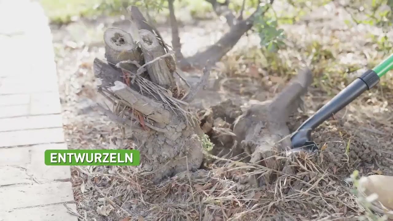 Hammersmith Rayzer Shovel | All-in-One Wurzelspaten | MediaShop.TV