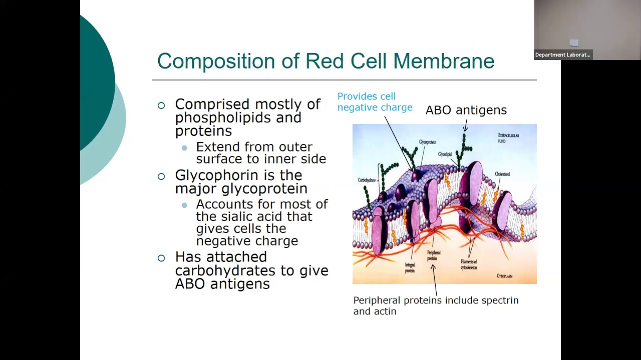 BloodBank Lecture2 2020