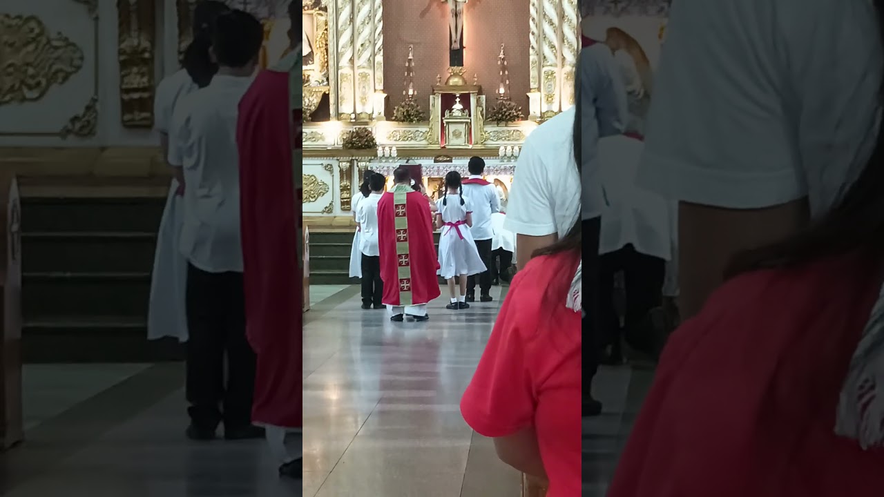 children's mass, lector and commentator are also children #childrensmass #mass
