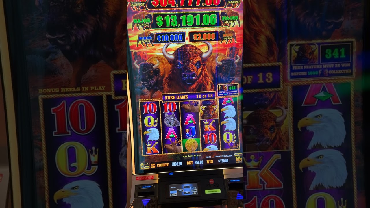 $50 Bet Free Games High Limit Buffalo Cash!  #casino #highlimitslots #gambling