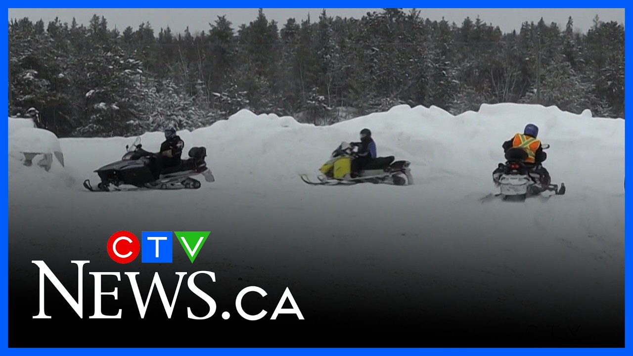 Invasive phragmites threat prompts warning to northern snowmobilers