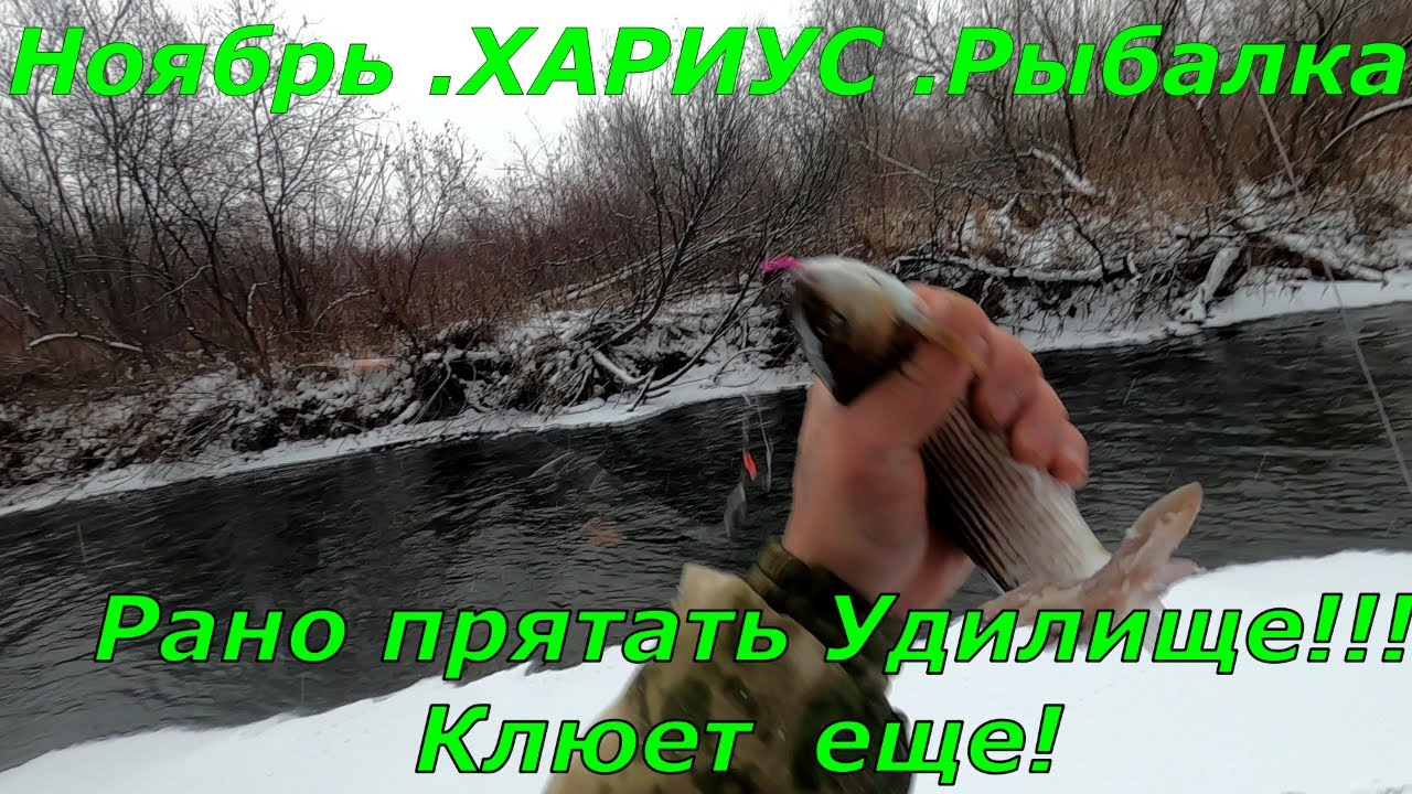 Рыбалка на ХАРИУСА в НОЯБРЕ/Речка порадовала,выдала партию ХАРИУСА /Только искать надо./Опасный ЛЕД.