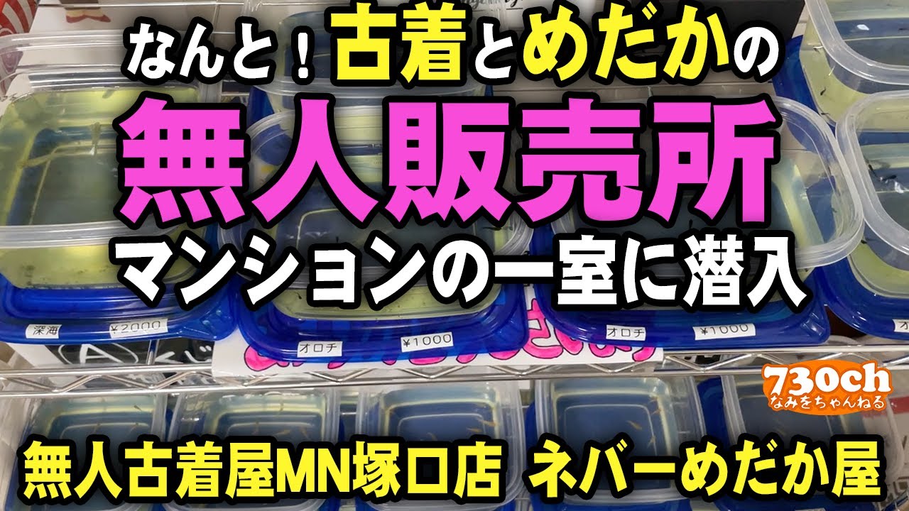 古着屋なのにめだか屋さん！ユニークなメダカ無人販売所に行ってきた！【尼崎市 阪急塚口】