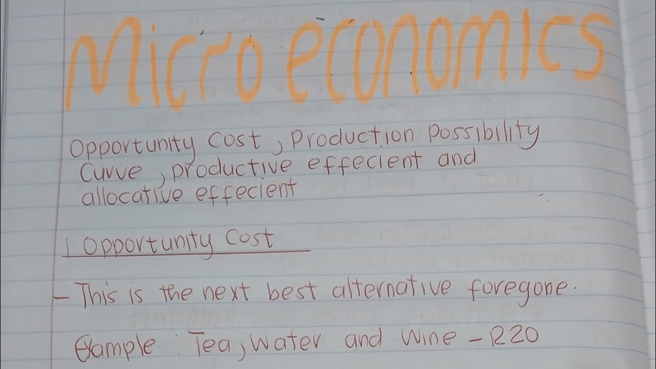 Production Possibility Curve, Opportunity Cost, Productive efficiency, and allocative efficiency.
