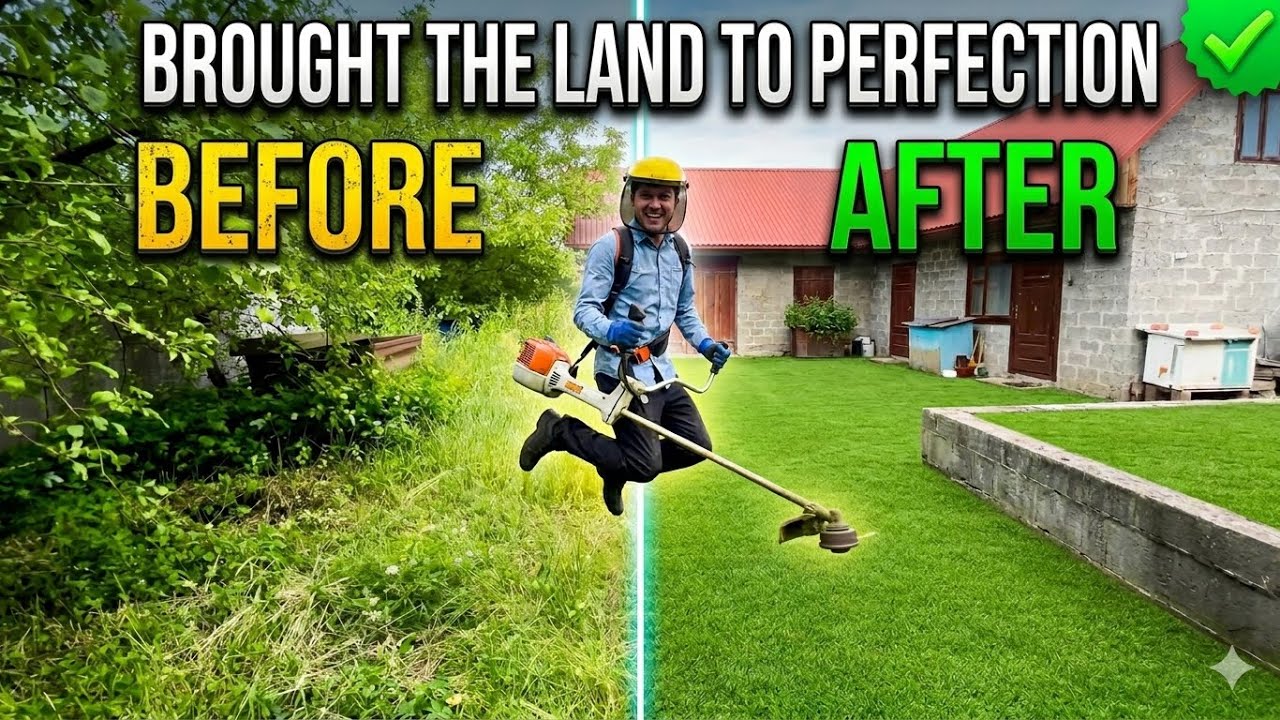 Super cleaning of a non-residential building with a Stihl FS 460