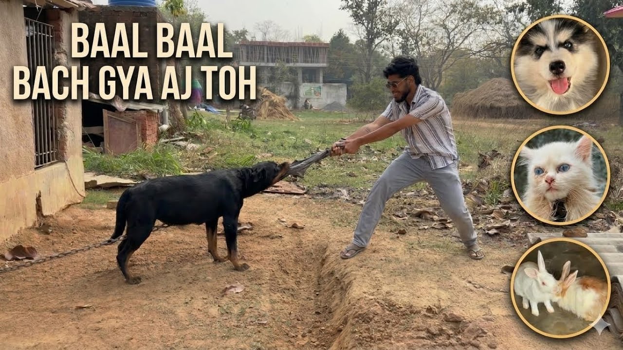 Rottweiler से बाल-बाल बचा! | My Friend's Rottweiler Attack! 😱🐶