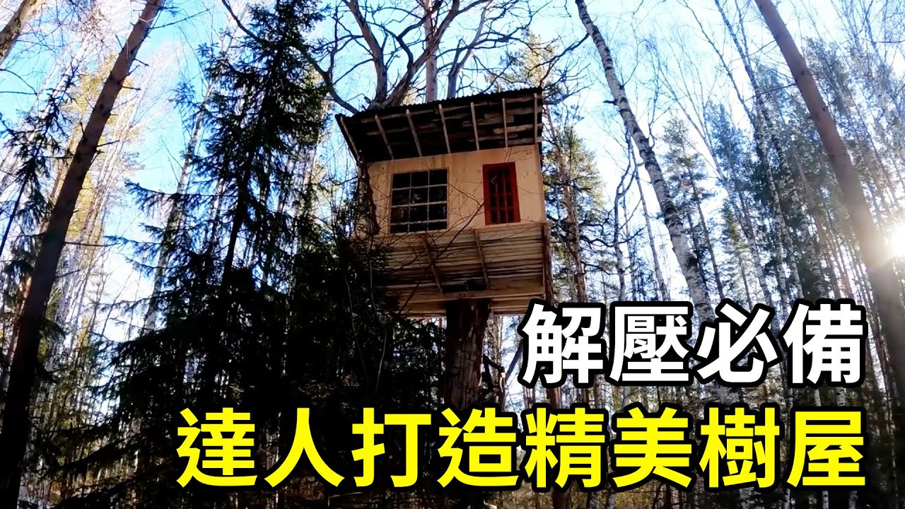 解壓必備！荒野達人打造童話樹屋，失眠時的絕佳選擇！ | 三千世界 #紀錄片 #有趣  #creative