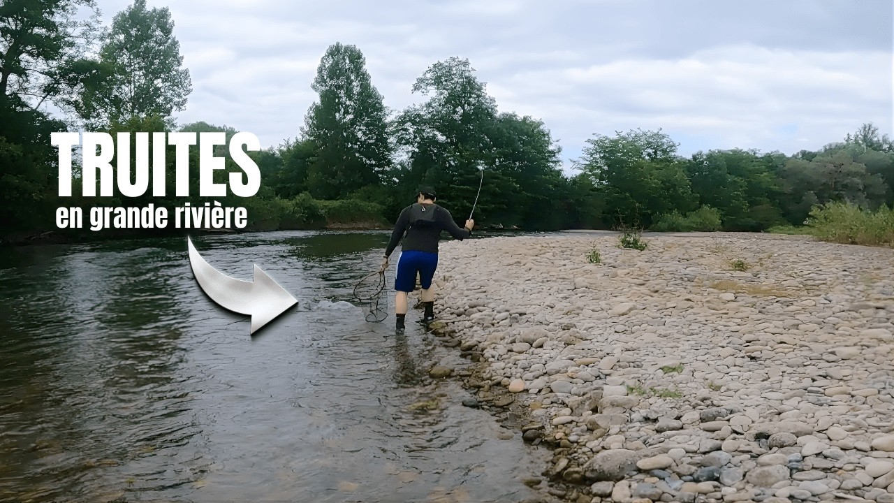 Pêche de la truite au leurre en grande rivière 
