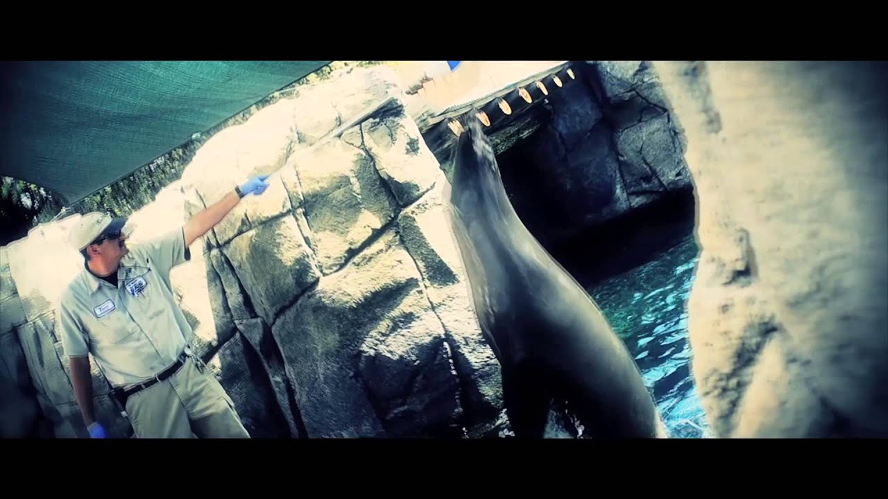 El Paso Zoo -- Put Some Wild in Your Life