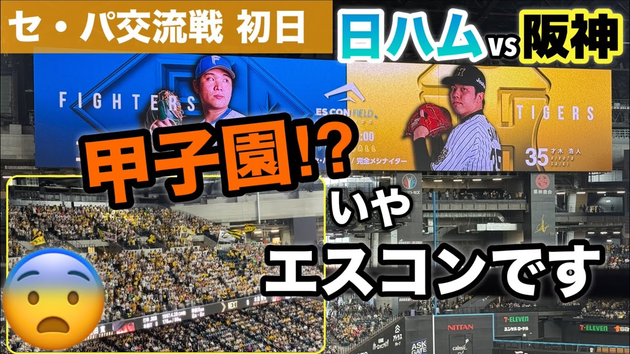 セ・パ交流戦‼︎阪神の応援団📣が半端ないよ！😨おーん、、日ハム対阪神戦１日目に行って来た！