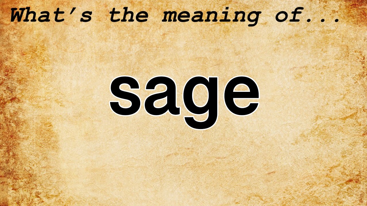 Sage Meaning : Definition of Sage