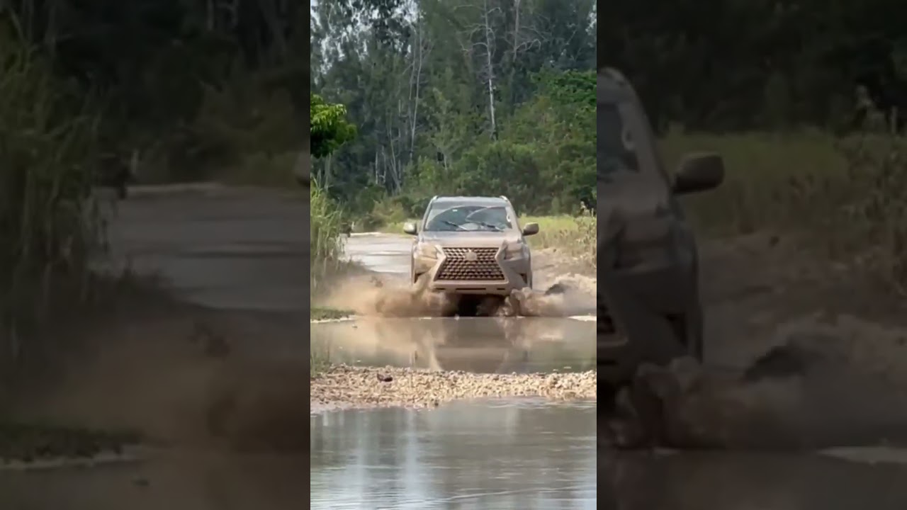 Lexus GX460 disfrutando en el pantano 