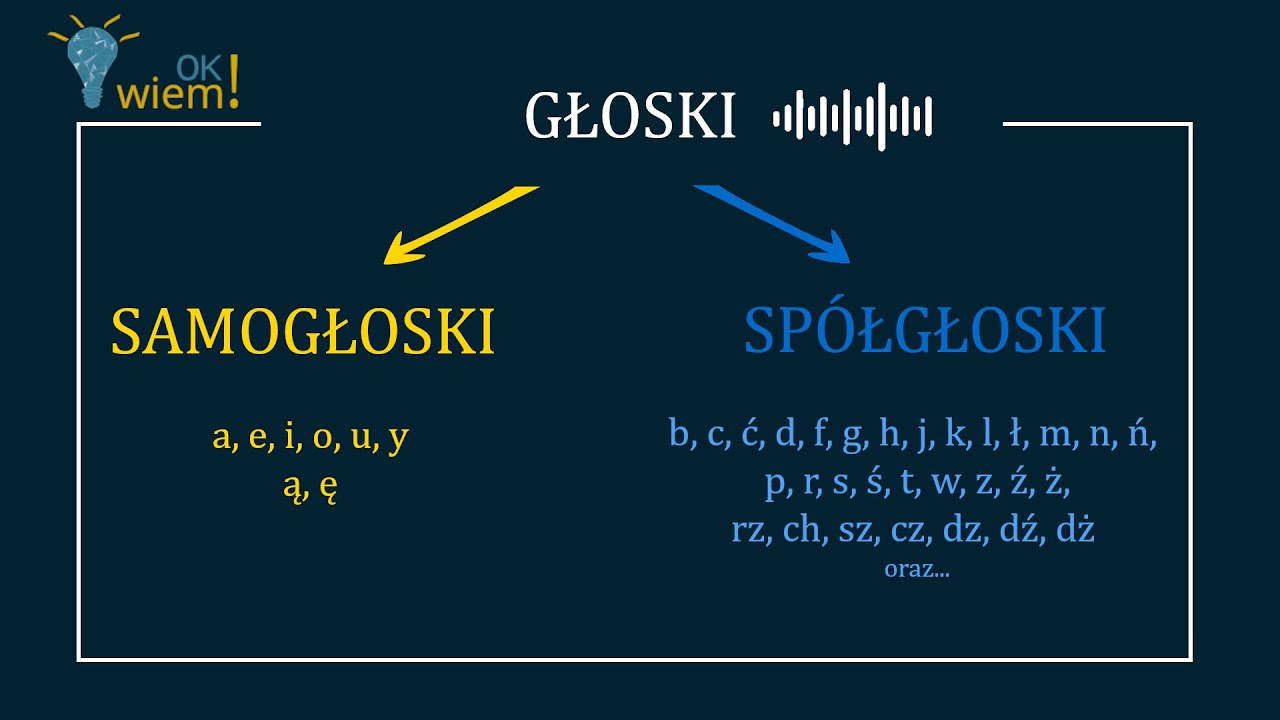 Samogłoski i spółgłoski, wszystko co najważniejsze