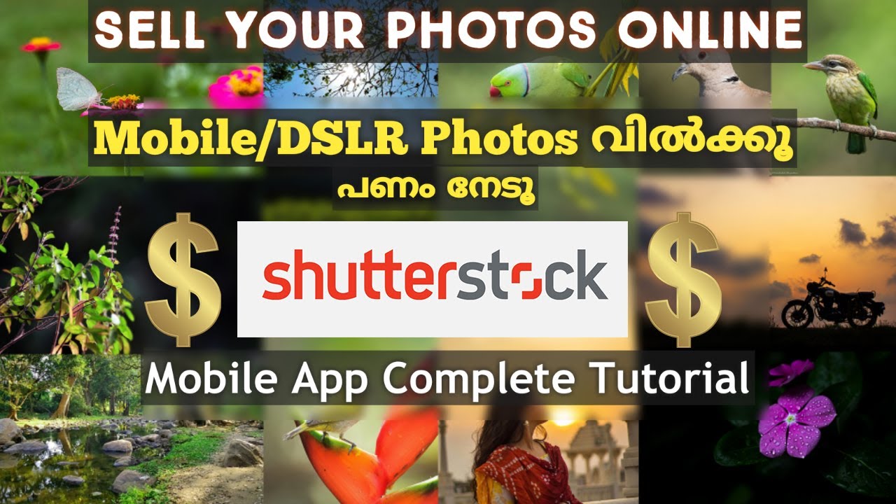 Shutterstock Contributor Mobile App Tutorial