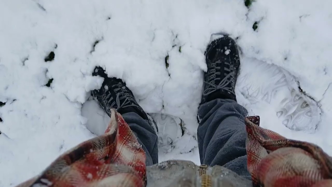 Summer day to winter day 
