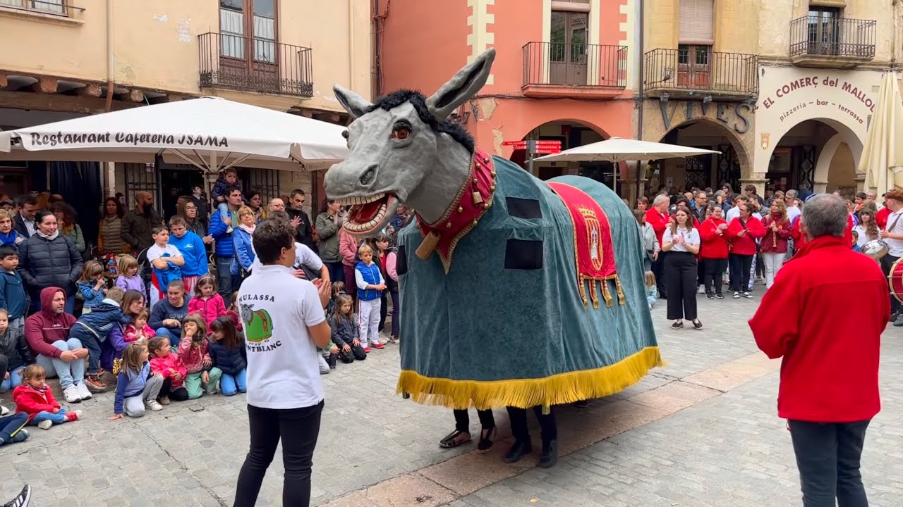 Ballada del Seguici Popular de Montblanc (Festes de San Maties 2023)