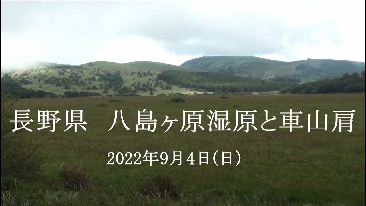 長野県 「八島ヶ原湿原」と「車山肩」－2022年9月4日(日)
