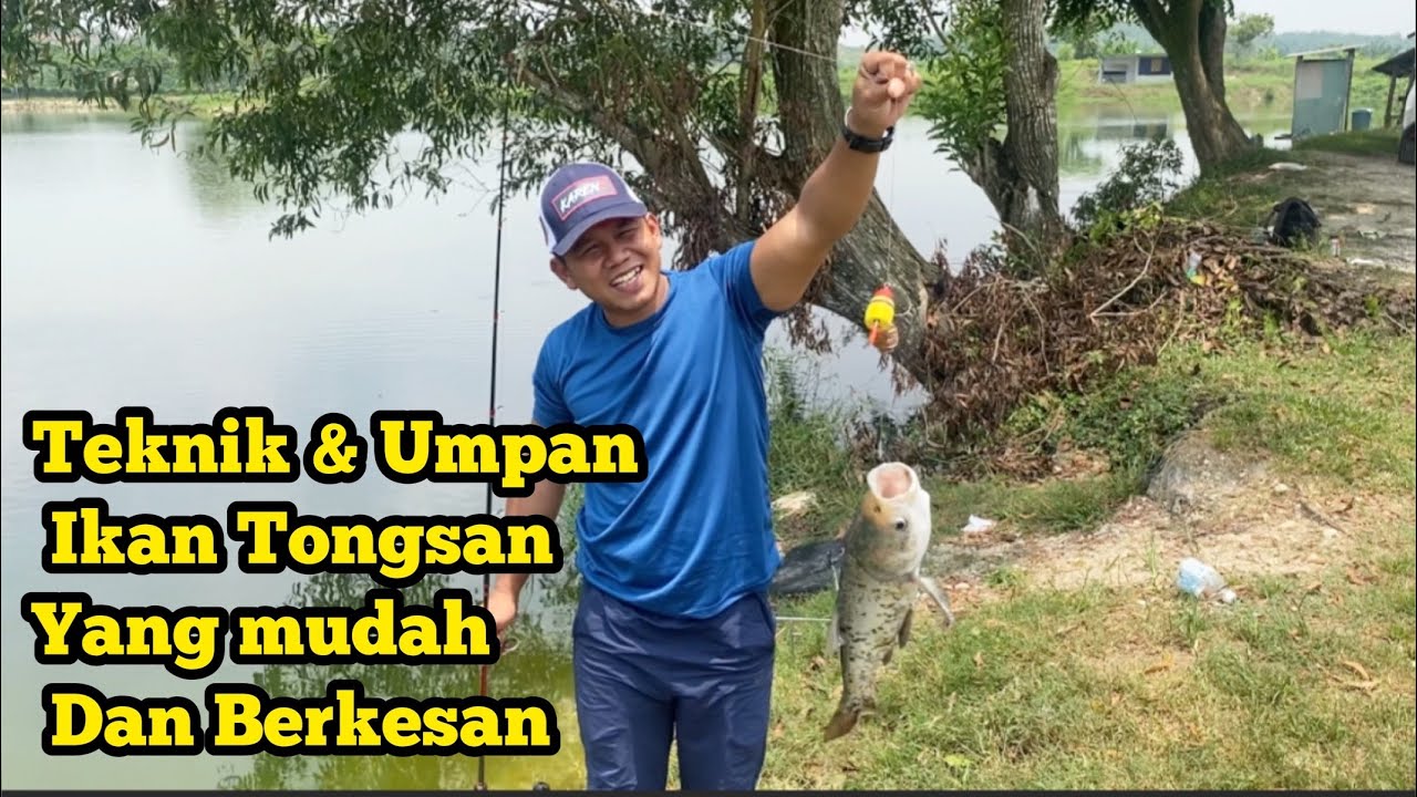 Memancing Menggunakan Joran Terpanjang || Umpan Ikan Tongsan || Umpan Ikan Patin #JomPancing91