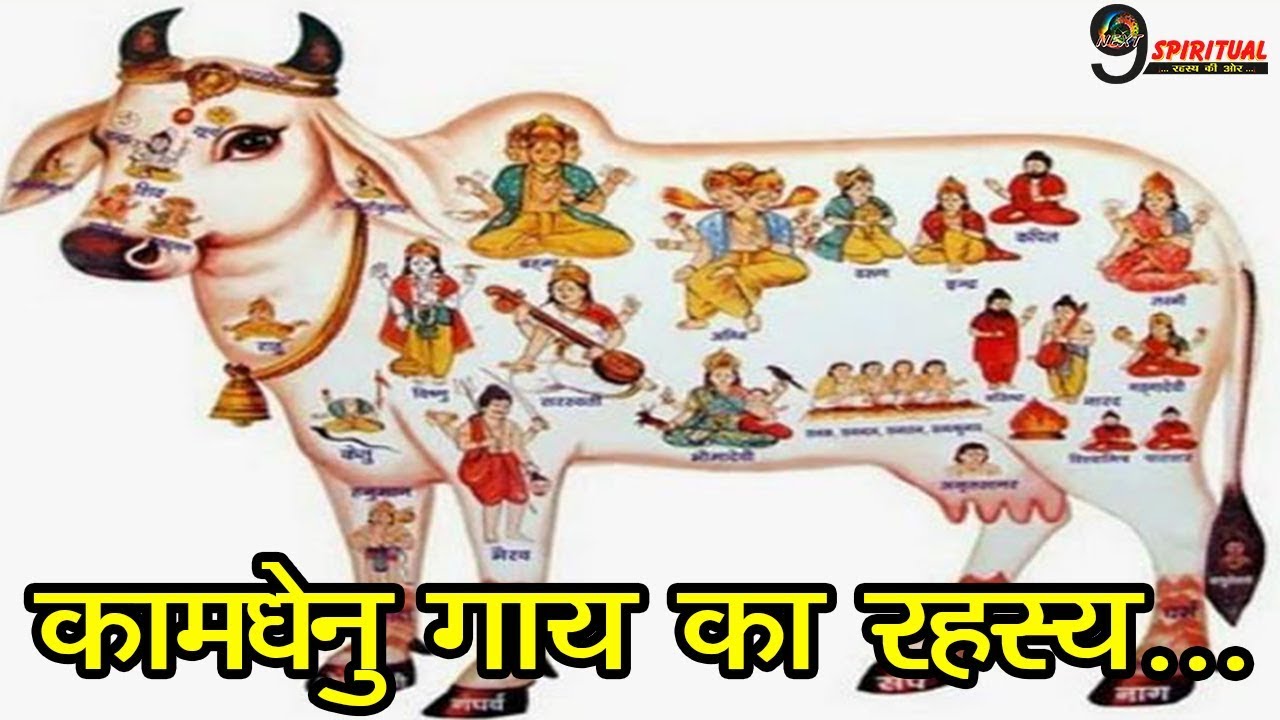 समुद्र मंथन से उत्पन्न हुई कामधेनु गाय का रहस्य... | The Legend Of Kamdhenu Cow &ndash; Samudra Manthan