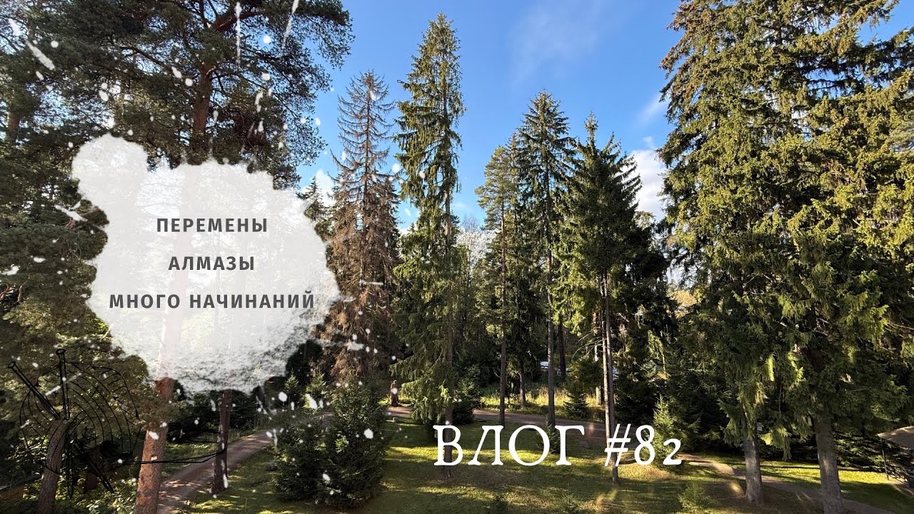 ВЛОГ сентябрь / Грядут перемены / Алмазная картина / Несколько новых процессов / Вязание