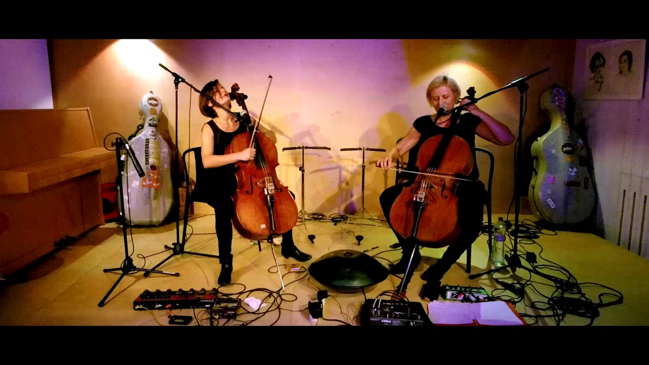 TARA FUKI live in VIOLA 2017
