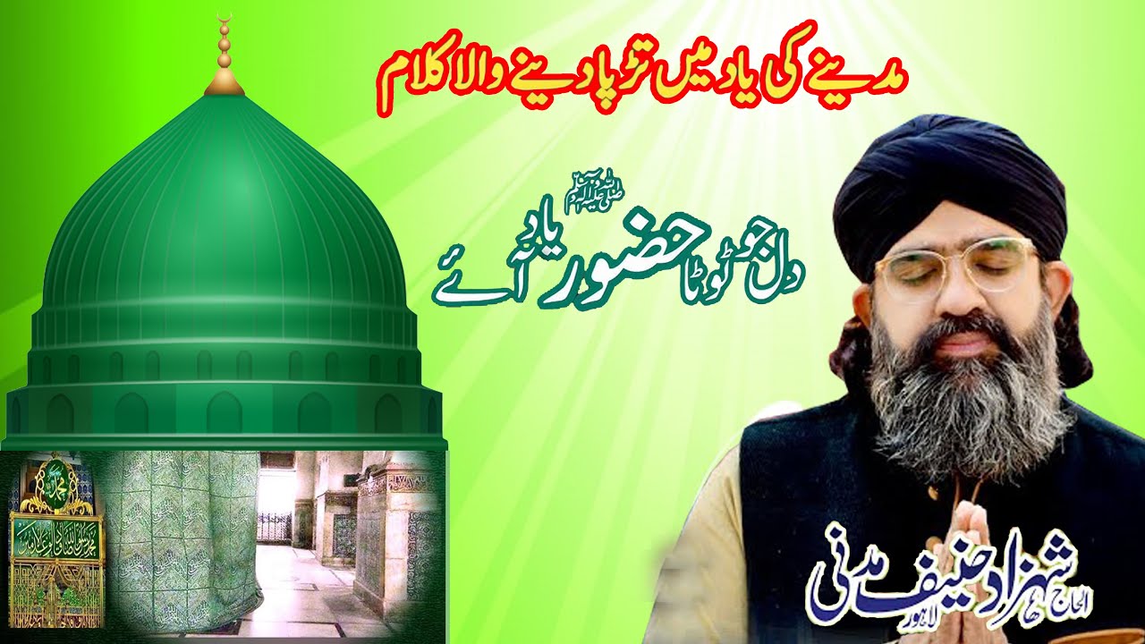 madina Emotional Kalam | Dil Jo Toota Huzoor ﷺ Yaad Aye | Shehzad Hanif Madni | Heart Touching Naat