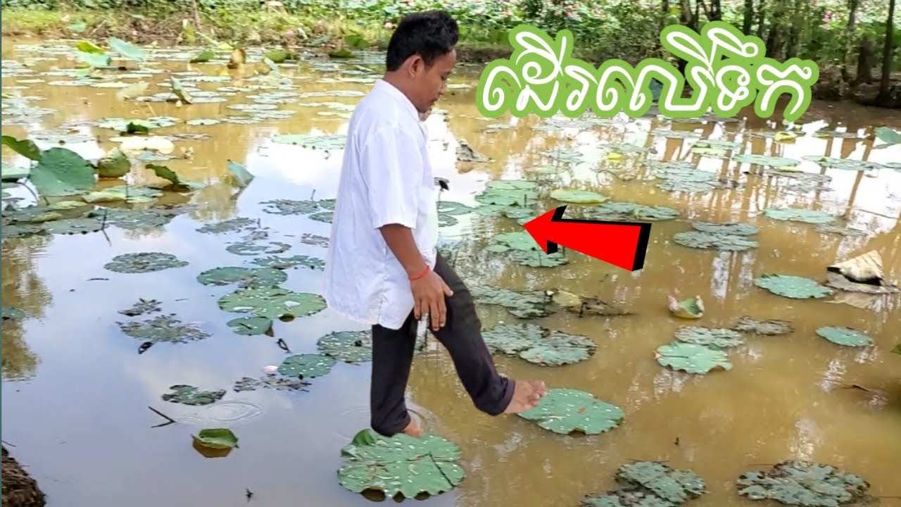 គ្រូតឿដើរលើទឹកស្ដែងៗតែម្ដង​ មិនធម្មតាមែន!😱