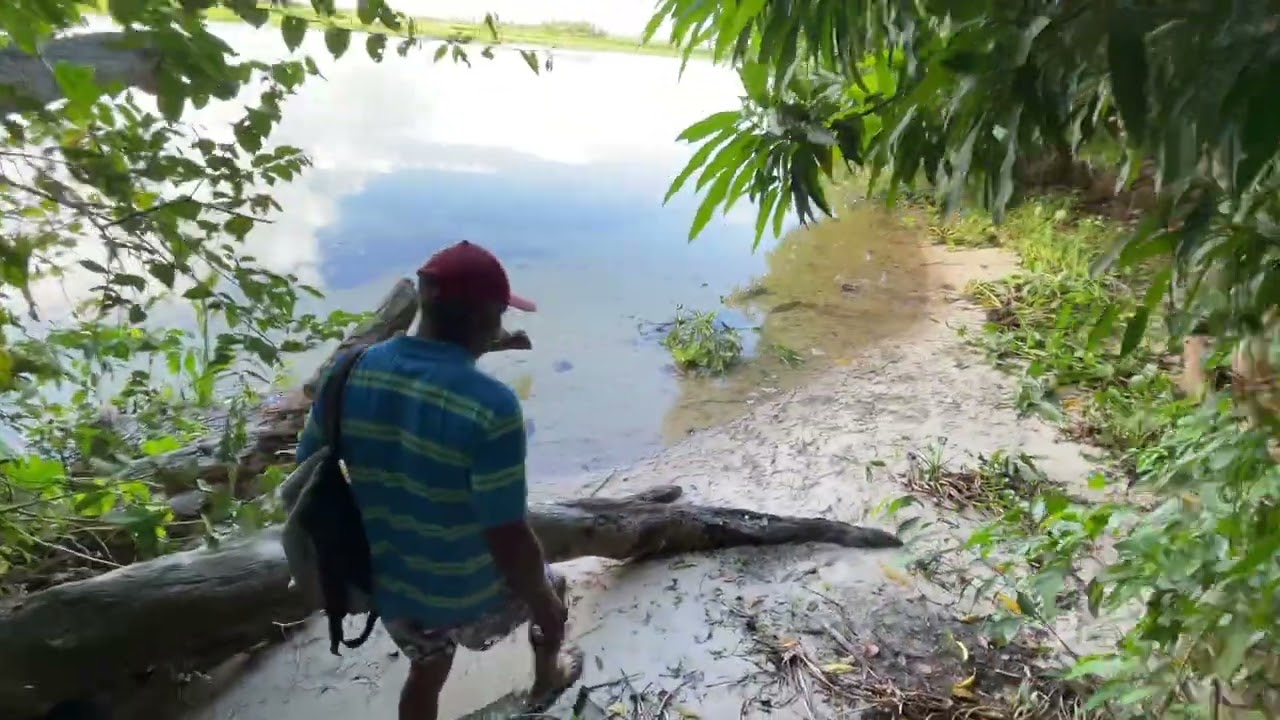 Olha que incrível 😱😱 Pescando com coco é arroz 😨