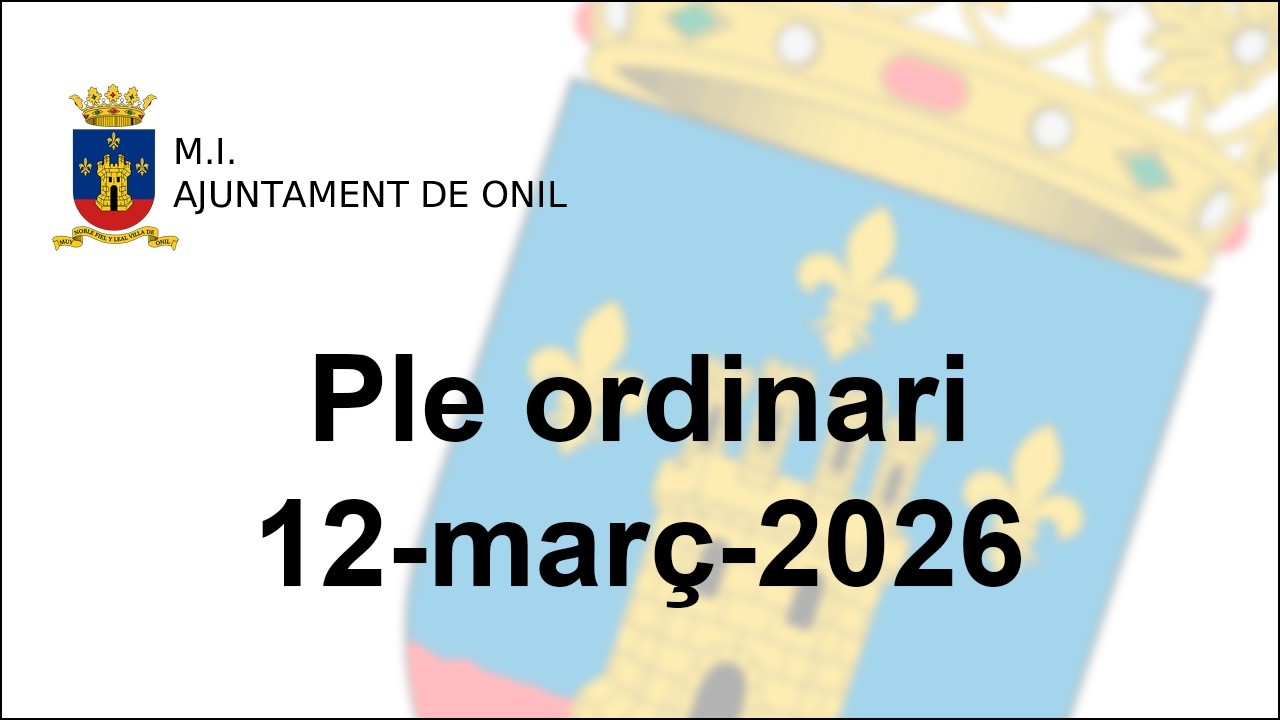 Pleno Ordinario del 12 de març de 2026