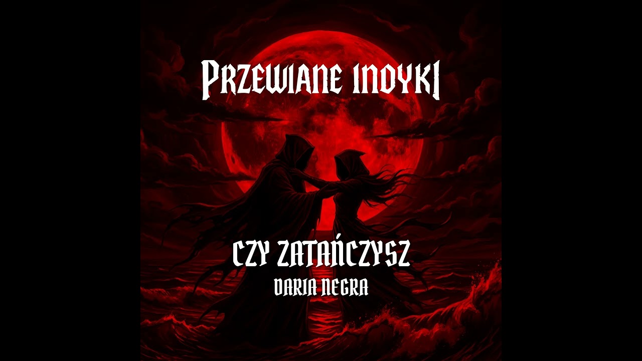 Daria NEGRA - CZY ZATAŃCZYSZ (cover)