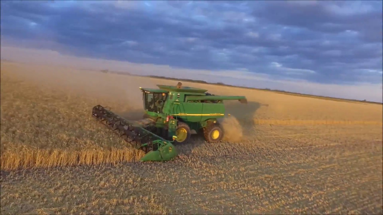 Cosecha de trigo/Wheat harvest - 2016 Argentina