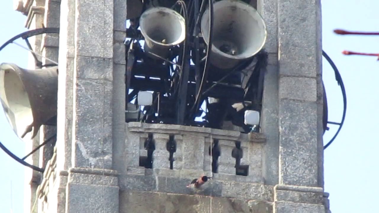 Campane di Casatenovo (LC) - Chiesa prepositurale di San Giorgio martire