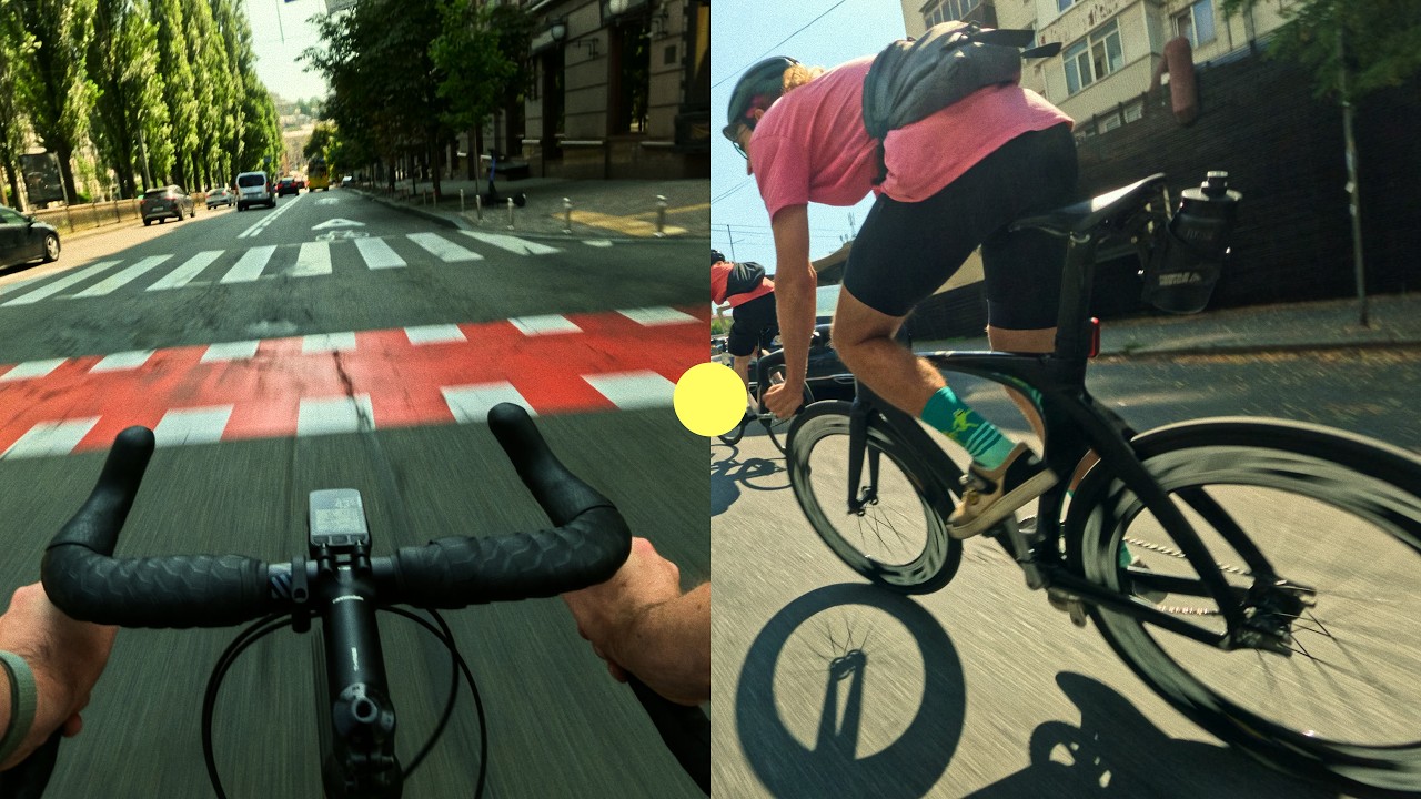 red line | alleycat