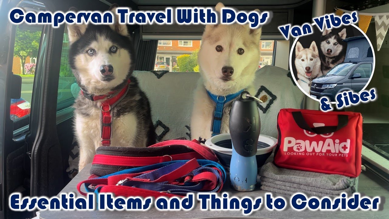 Campervan Travel With Dogs- Essential Items & Things to Consider
