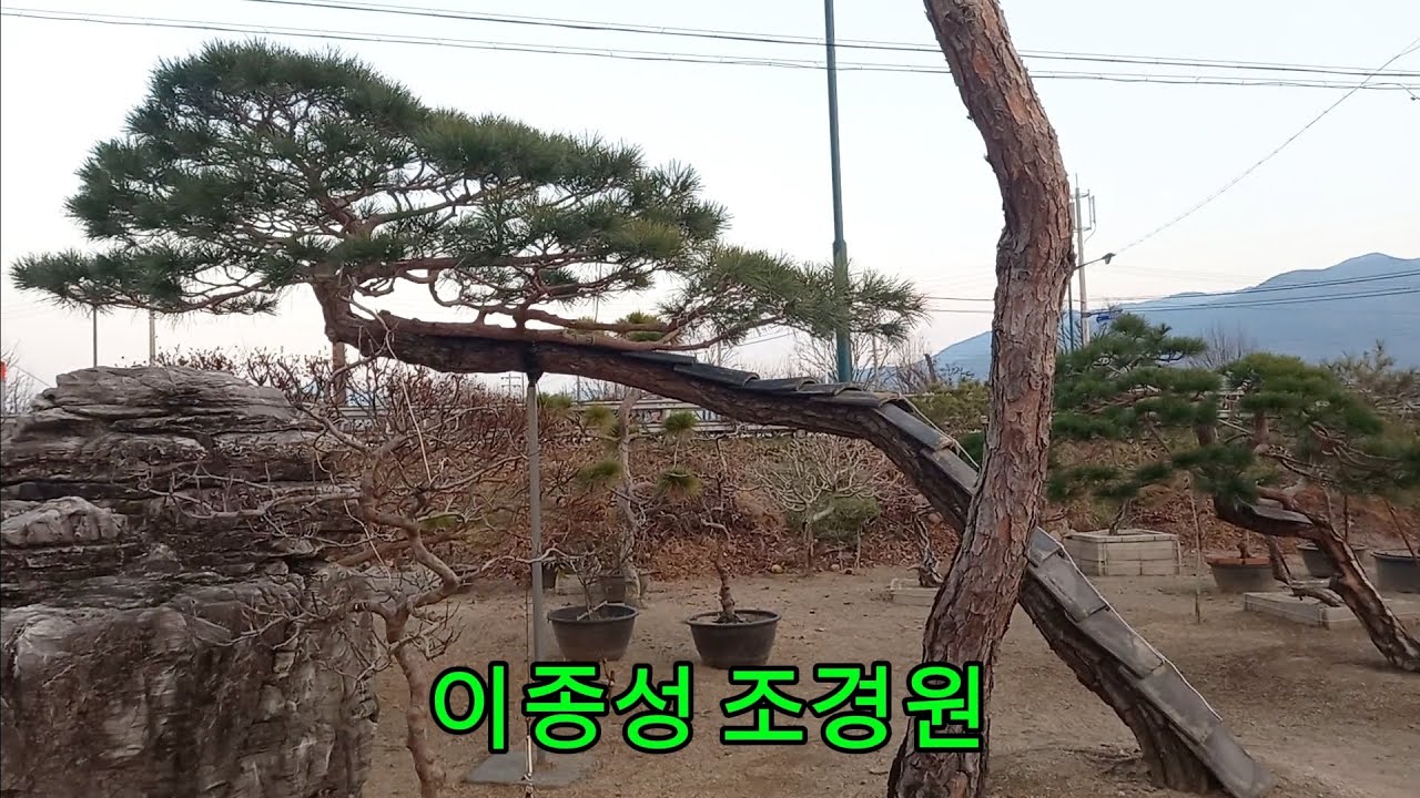 이종성 조경원