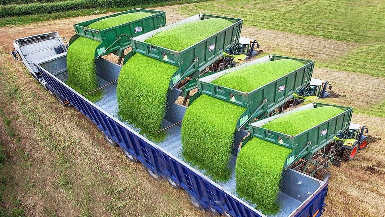John Deere Harvester Farm Pretty Girl Tractor Driver #WithMe Silage Grain Harvest Hay Harrow